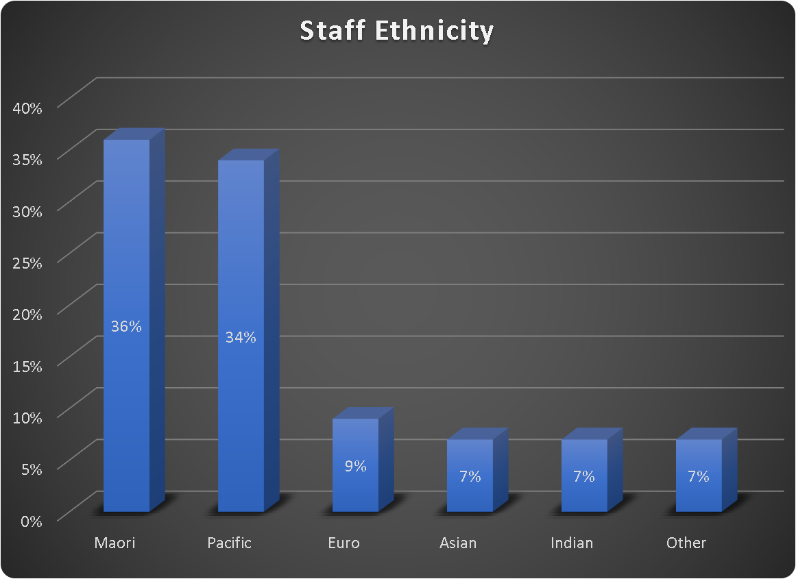 Social workers are carefully selected to deliver the best service for our whānau