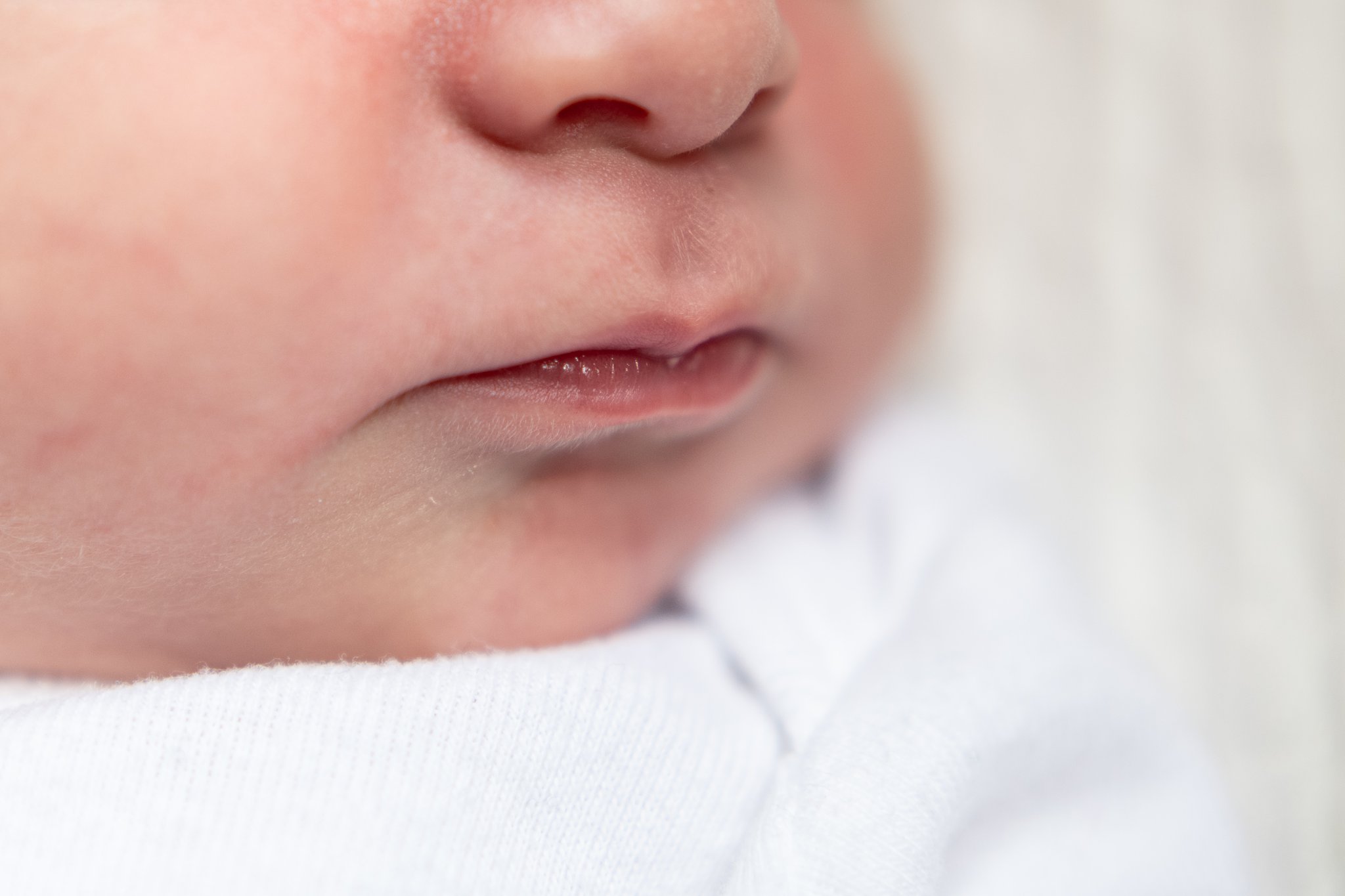 newborn photograhy detroit 3.jpg