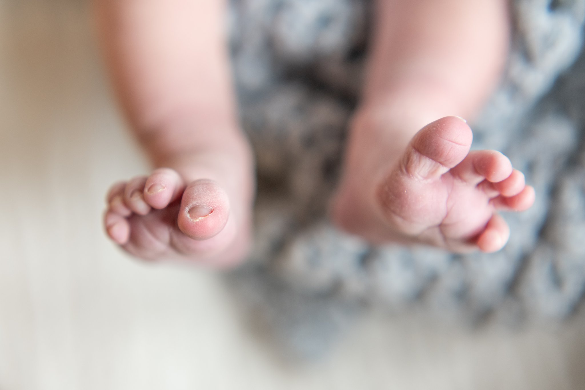 newborn photograhy detroit 6.jpg