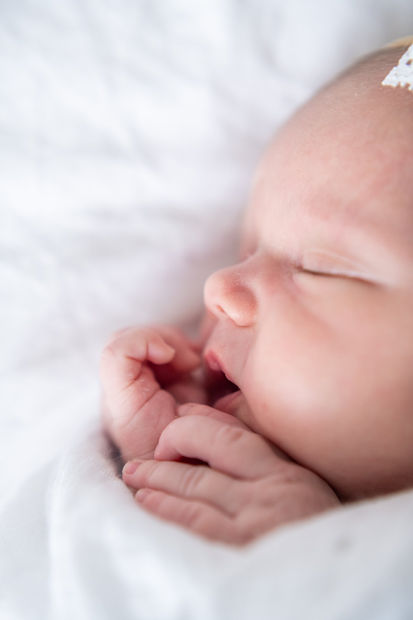 detroit newborn photography-24.jpg