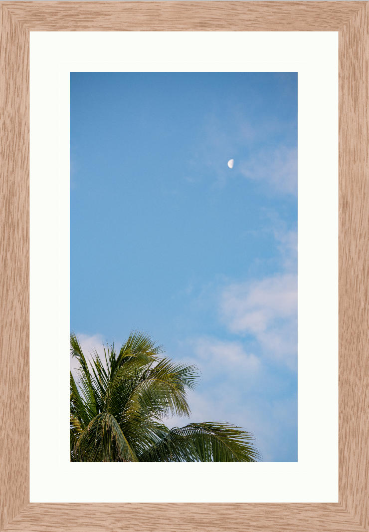 fine art print framed and matted example 2.png