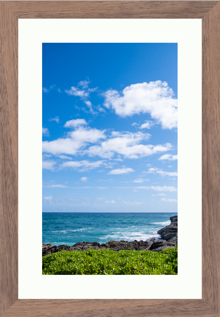 fine art print framed and matted example 1.png