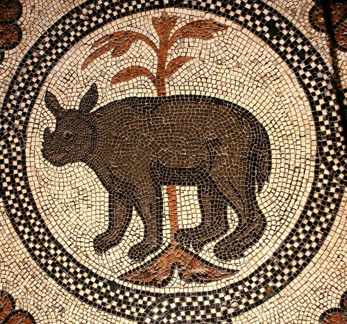 Rhinoceros, detail from mosaic floor, St Mark’s Basilica, Venice, thirteenth century. Photo ©Mark Smith
