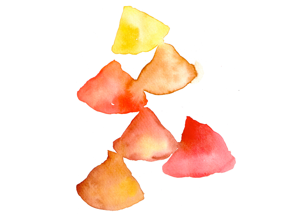 epices2.png