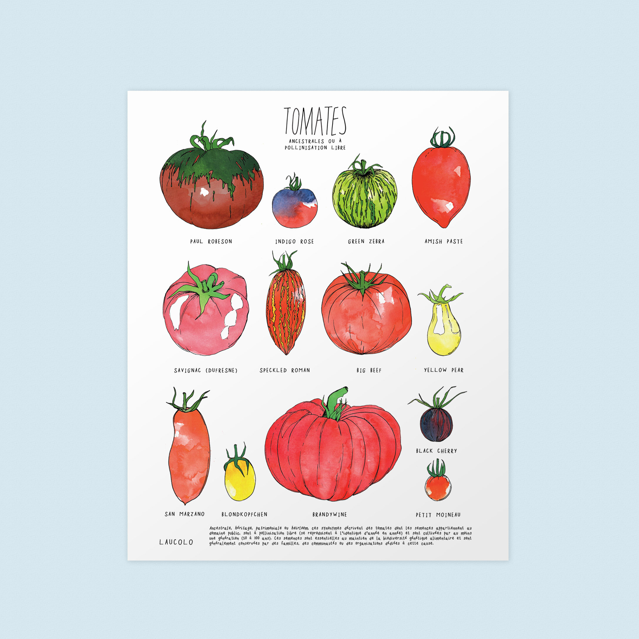 tomates-blanc-mockup.jpg