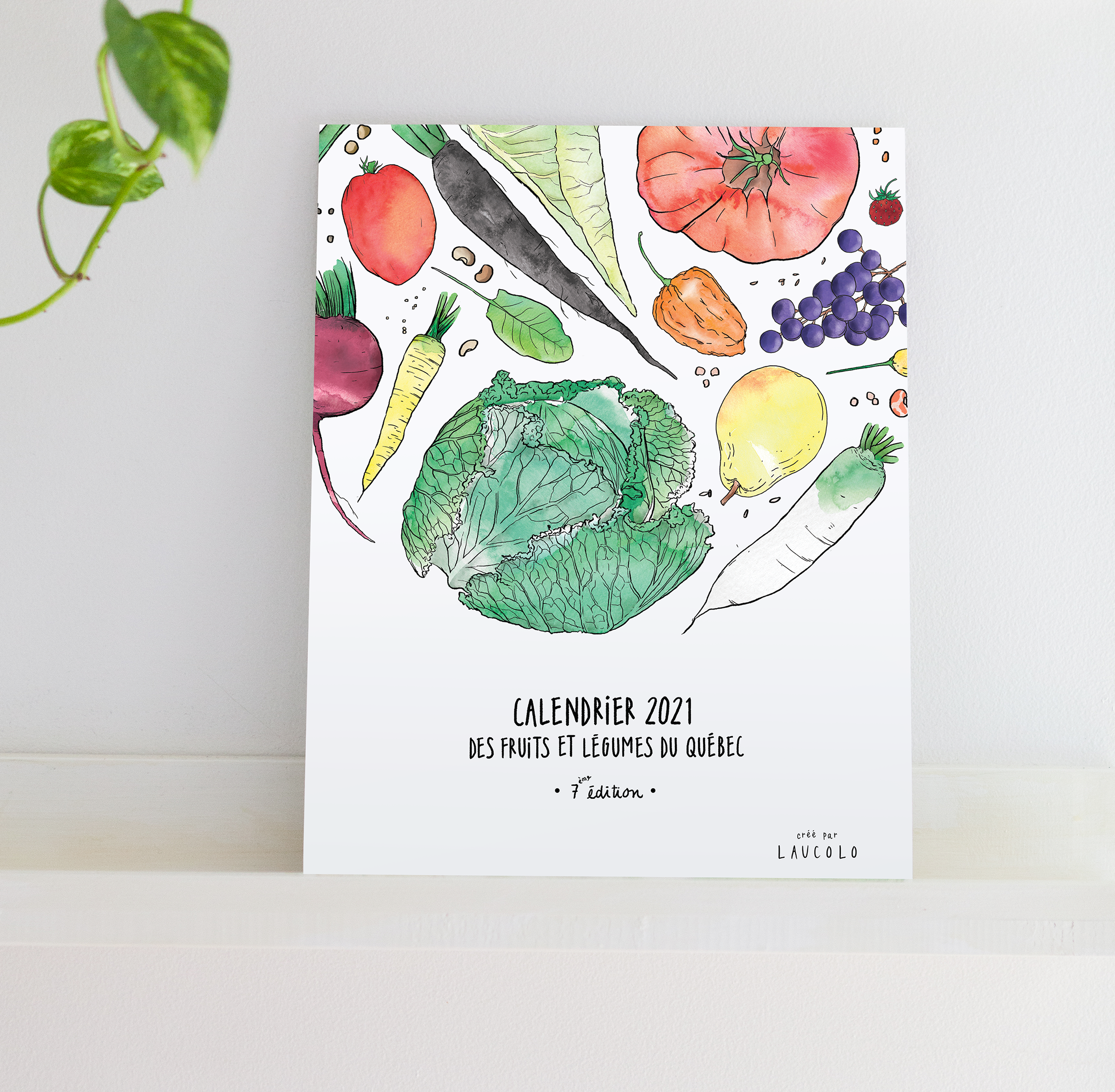 mockup-aumur-2021.png