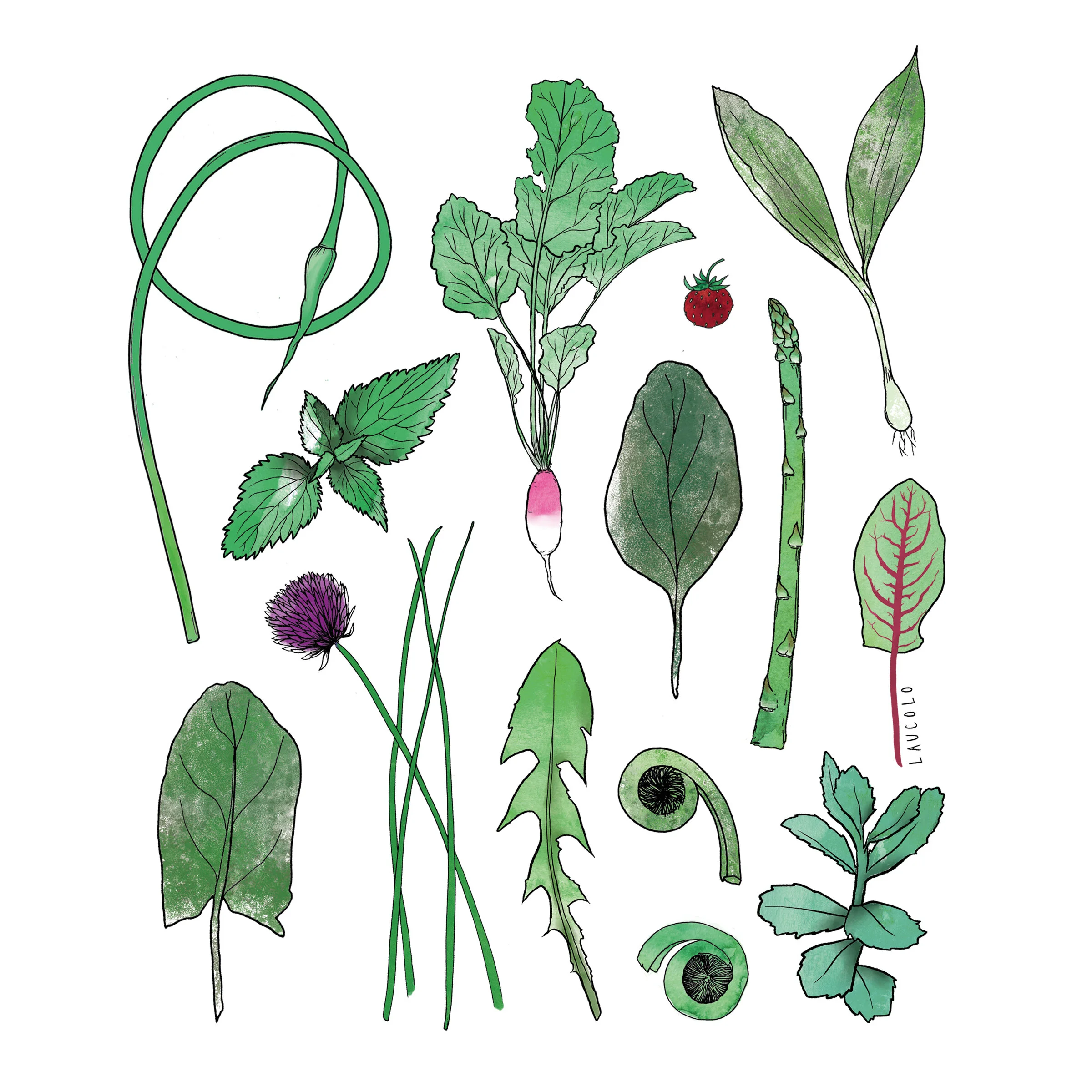 printemps-carre.jpg