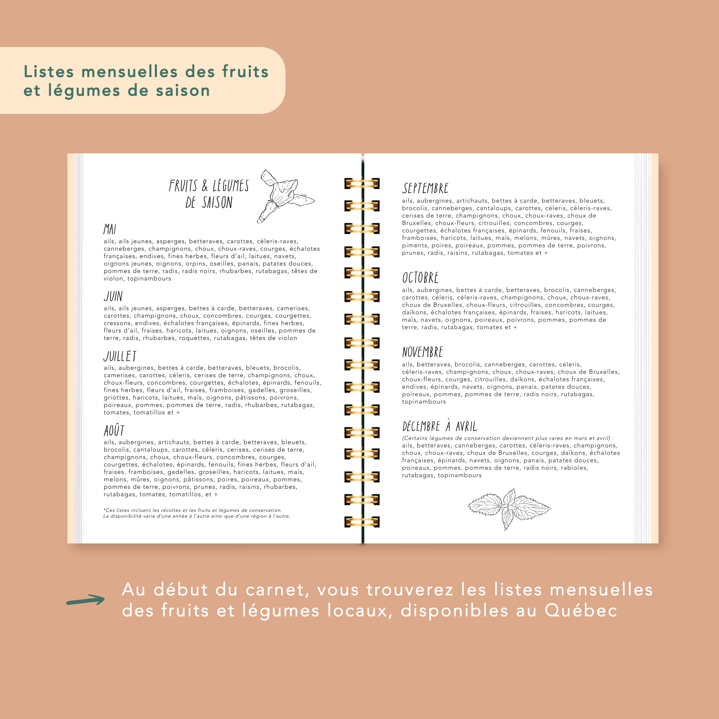 mockup-listes-FL.png