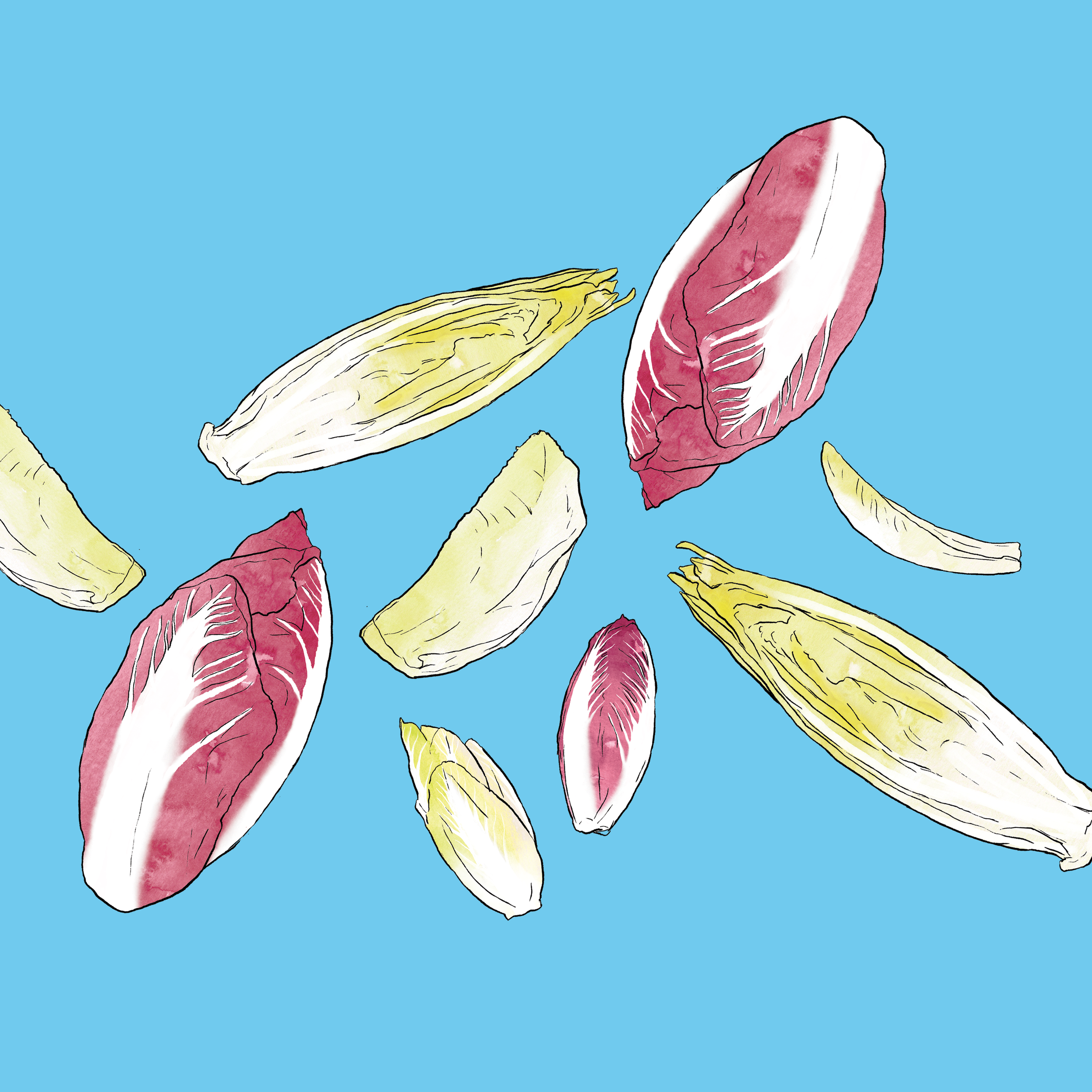 03-endives-ciel.png