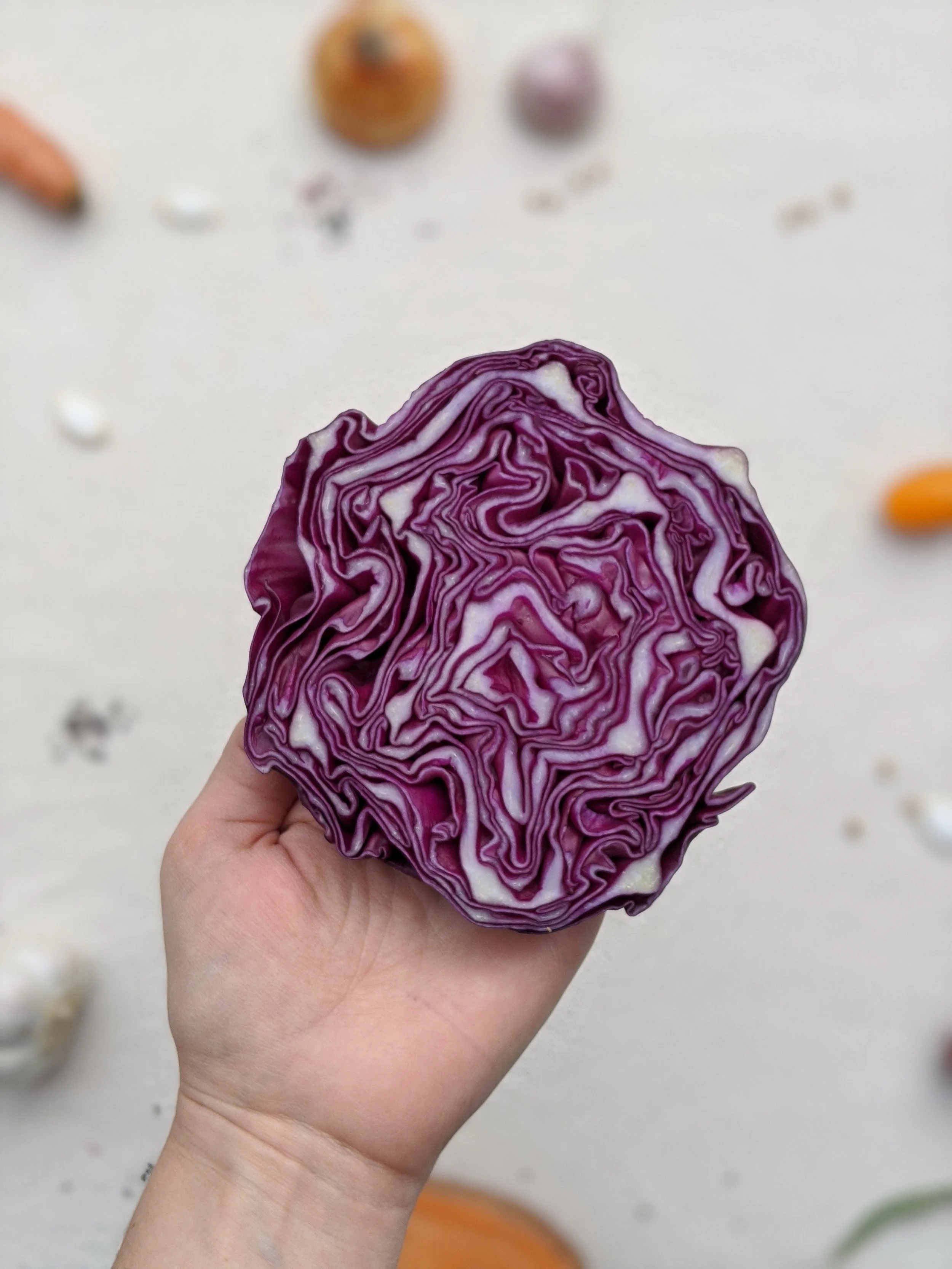 Sur la pensée systémique