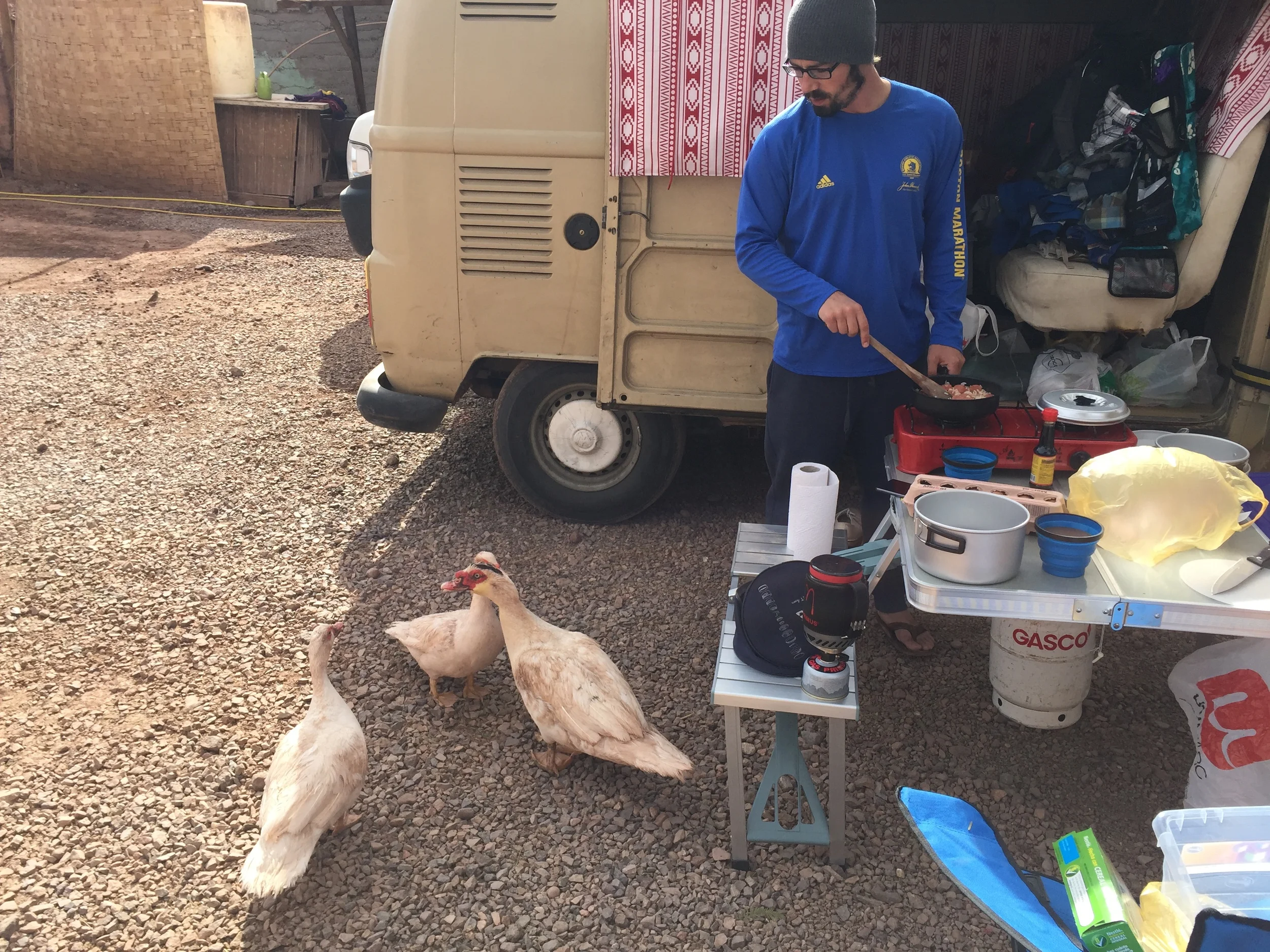 Hostal Puritama's seriously aggressive geese looking for a snack. Shan1 had to fight off the male with a plastic box. 