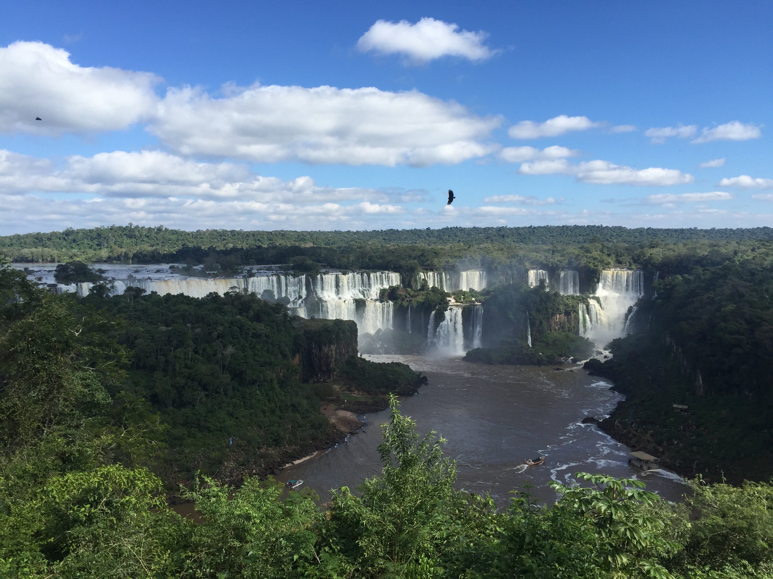 The best time to visit the Pantanal - Bonito Way