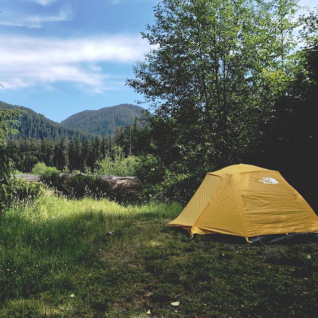 Olympic Peninsula Day 3: Hoh Rainforest and Hoh River ⠀
⠀
Another day, another killer campsite! We wanted to stay at them all for a week each... This area was just as spectacular as the last. We were tempted to do a 17-mile trail that leads up to a g