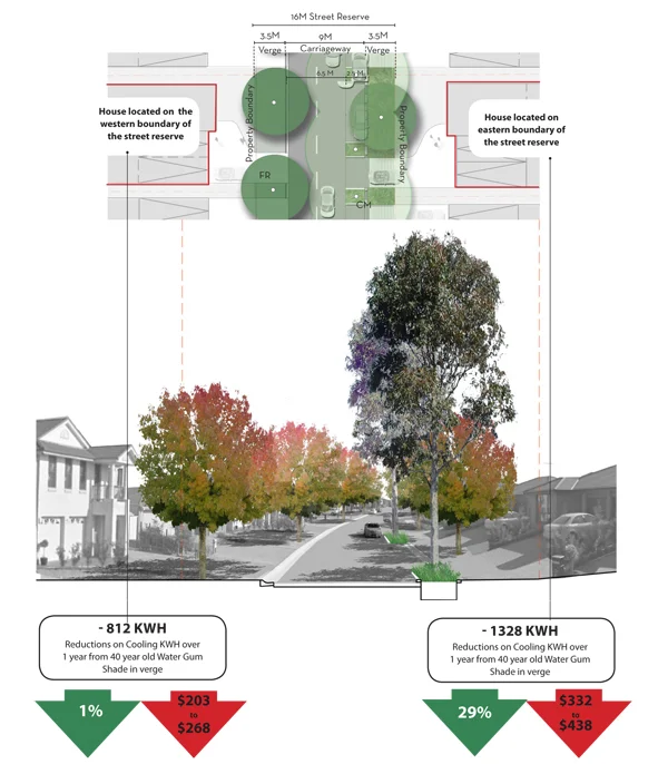 Benefits of street trees&nbsp;