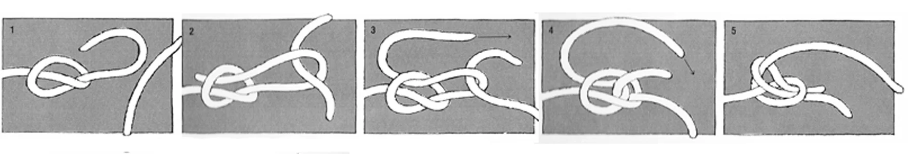 Conceptual Rope Diagram