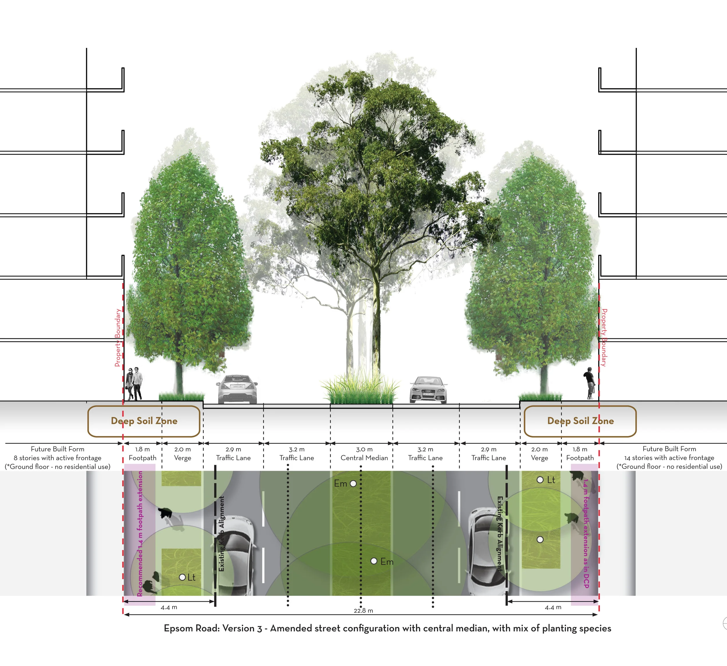 Section and Plan view of Epsom Road streetscape proposal
