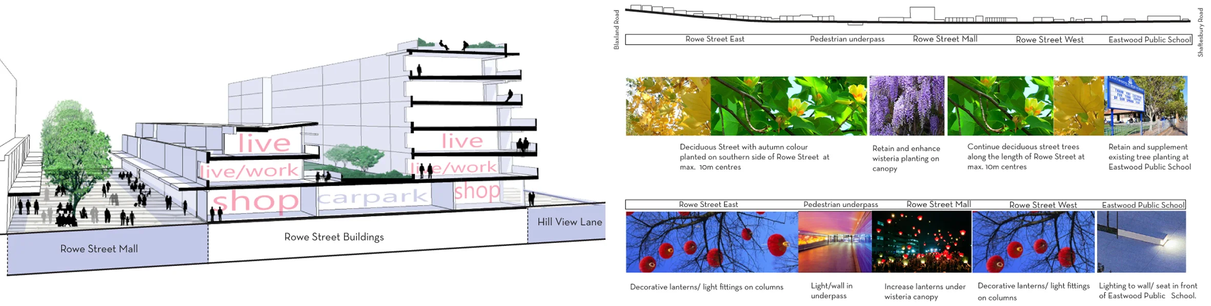 Sectional Diagrams illustrating spatial arrangements and planting