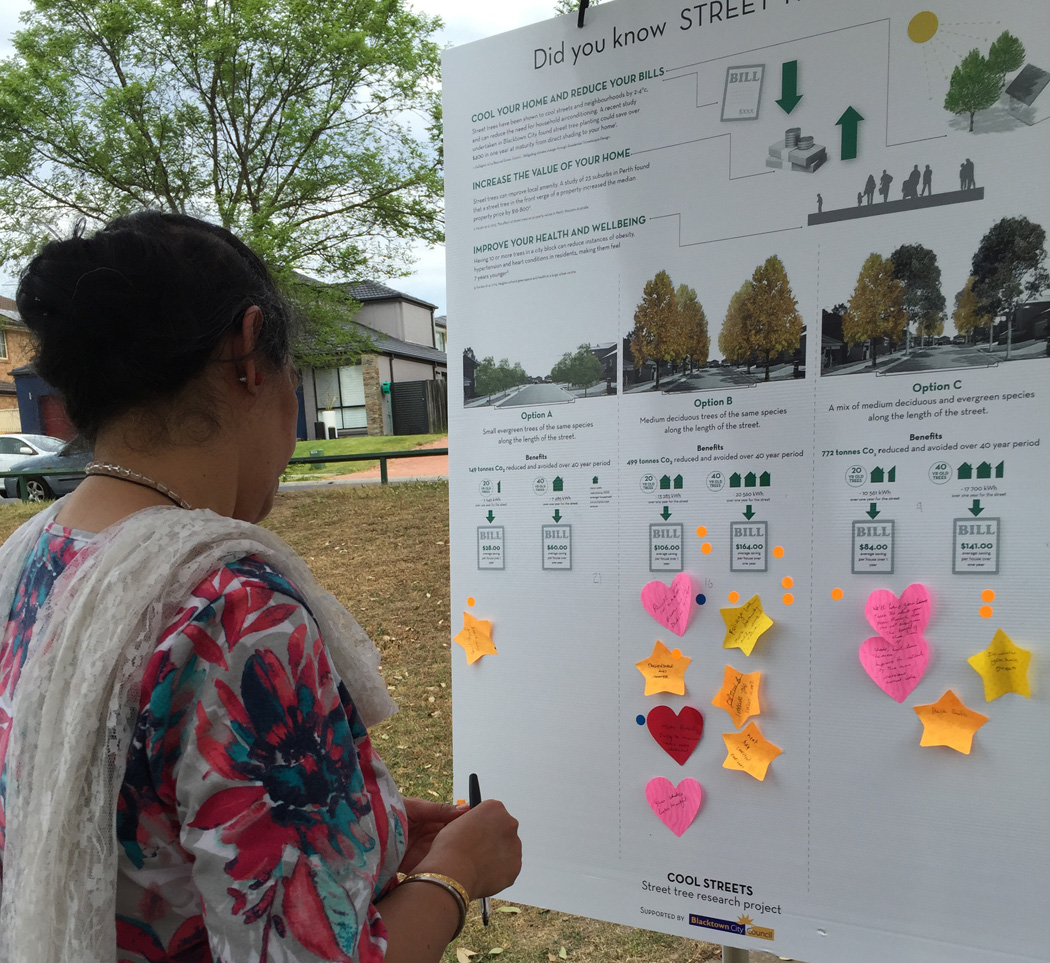 Above: a participant evaluating options for Cool Streets - Street Tree Research project for Blacktown City Council by Gallagher Studio and CRED 