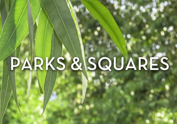 ParksSquaresIMAGE.jpg