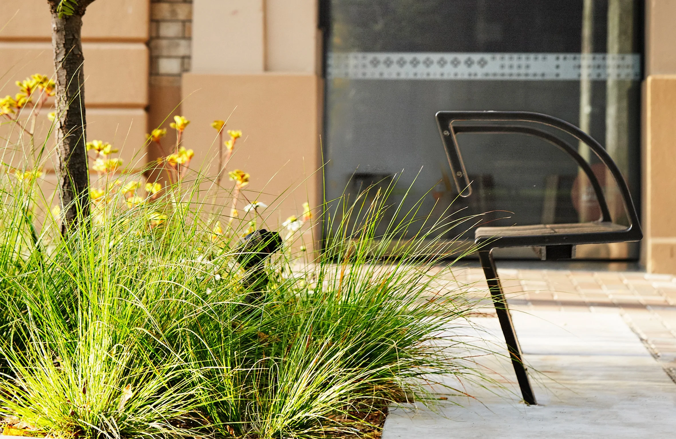 20190114_B+P 5 BANNER SML.jpg