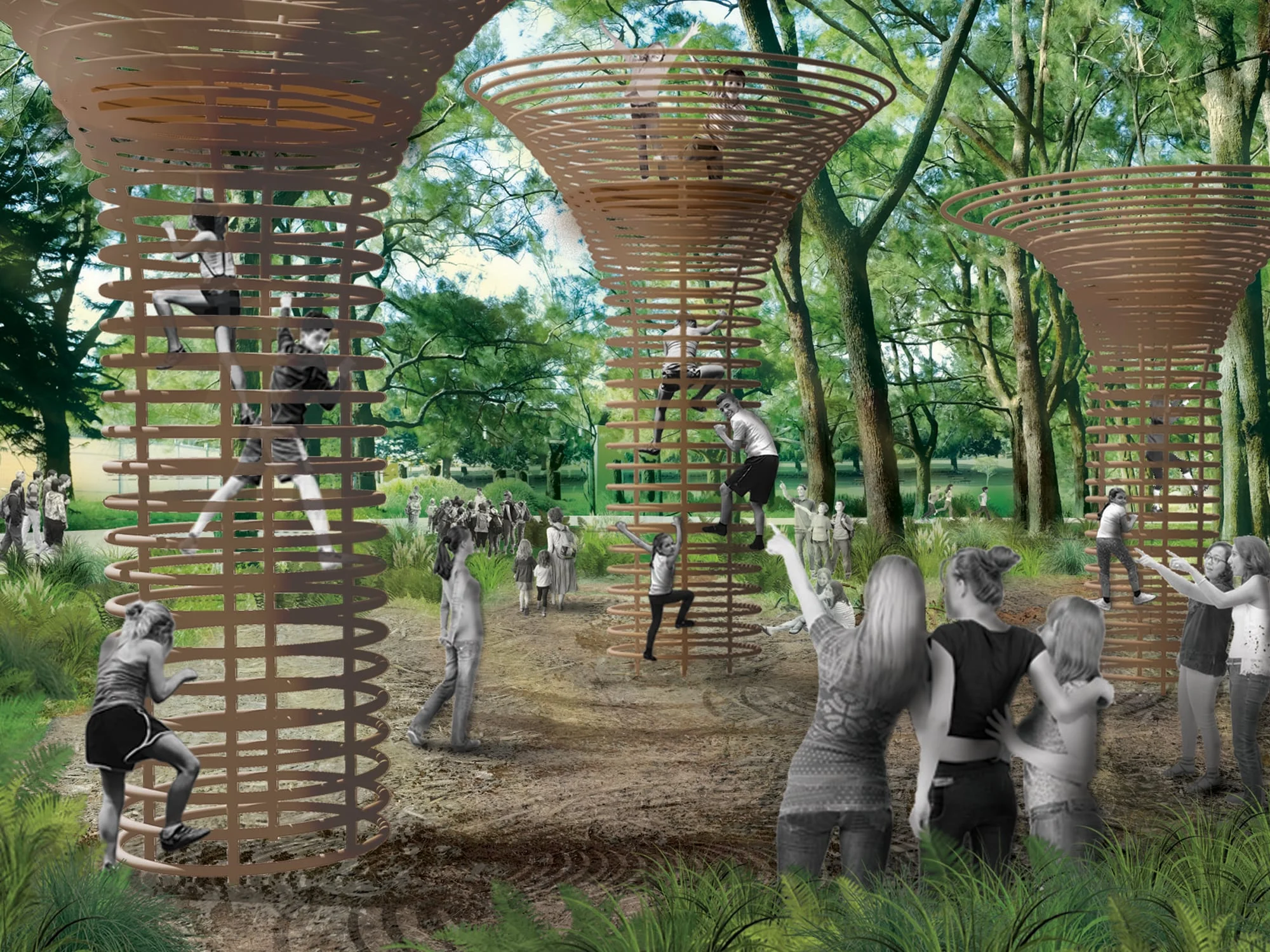 Tree Climbing Structure