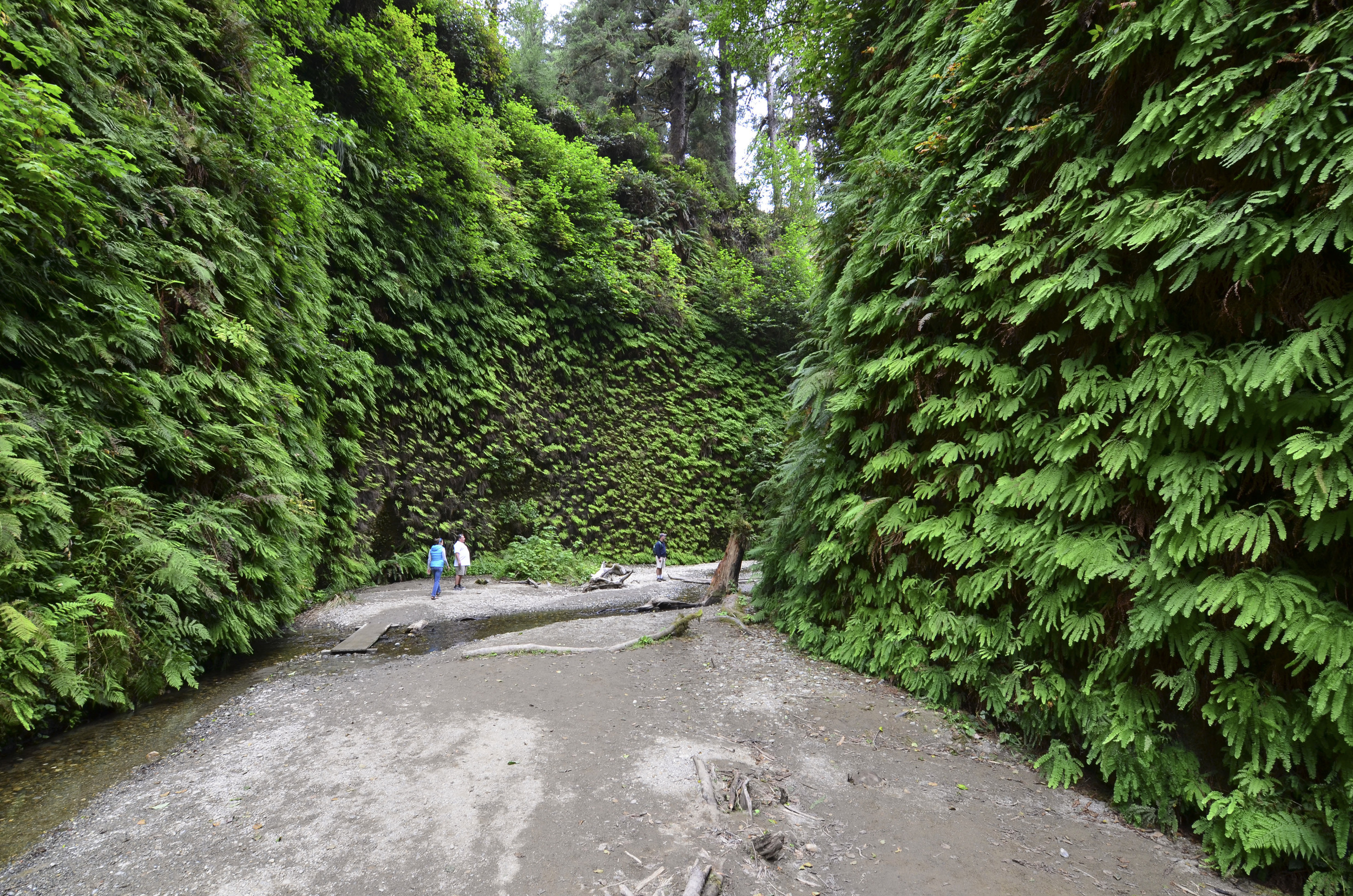 Humboldt Area Foundation_Drew Hyland_DSC_2705.jpg