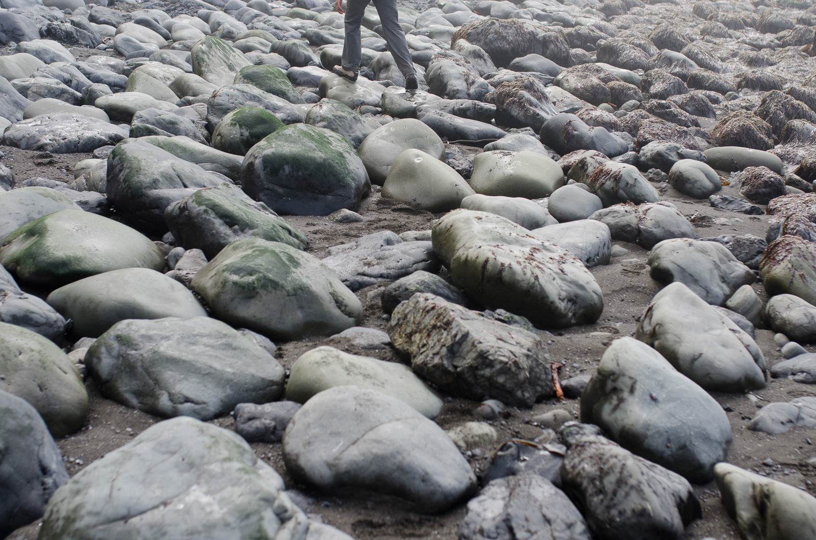 DSC_1108_LostCoast.jpg