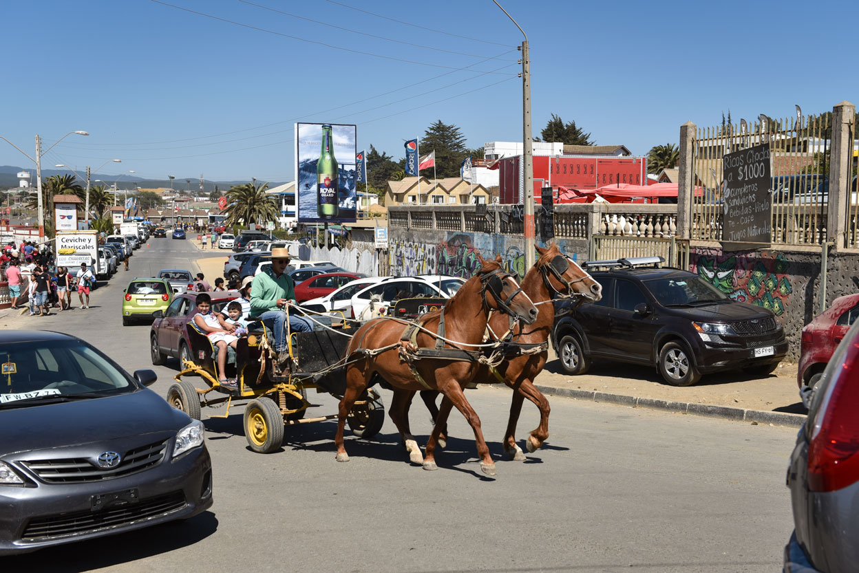 Pichilemu Carriage Rides