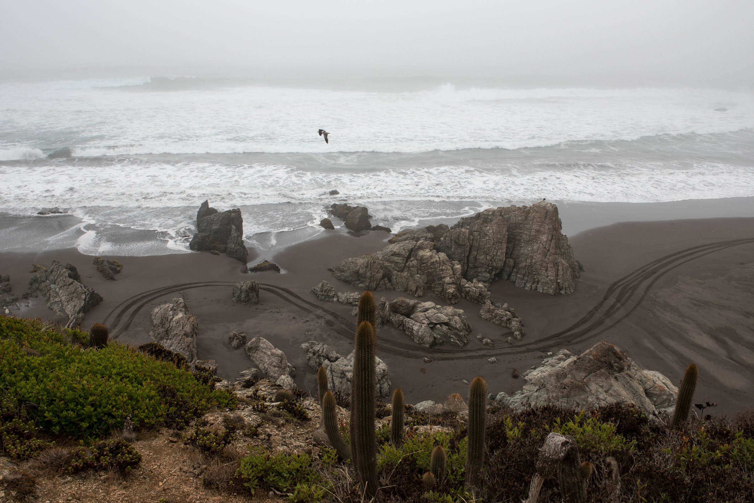 Tire tracks