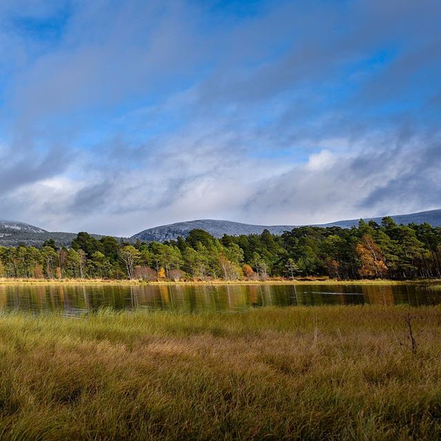 Loch Morlich / 10.27.18
.
.
.
#scotland #visitscotland #scotlandisnow #landscape #nature #explore #modernoutdoors #exploration #optoutside #instagood #nikon #sigmalens #35mm #getoutstayout #wildernessculture #in2nature #departedoutdoors #natureaddict