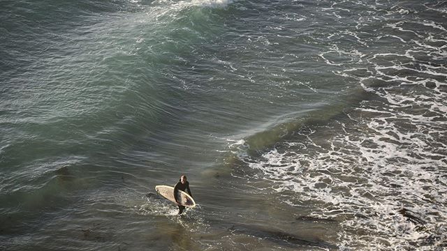 This guy can still surf.