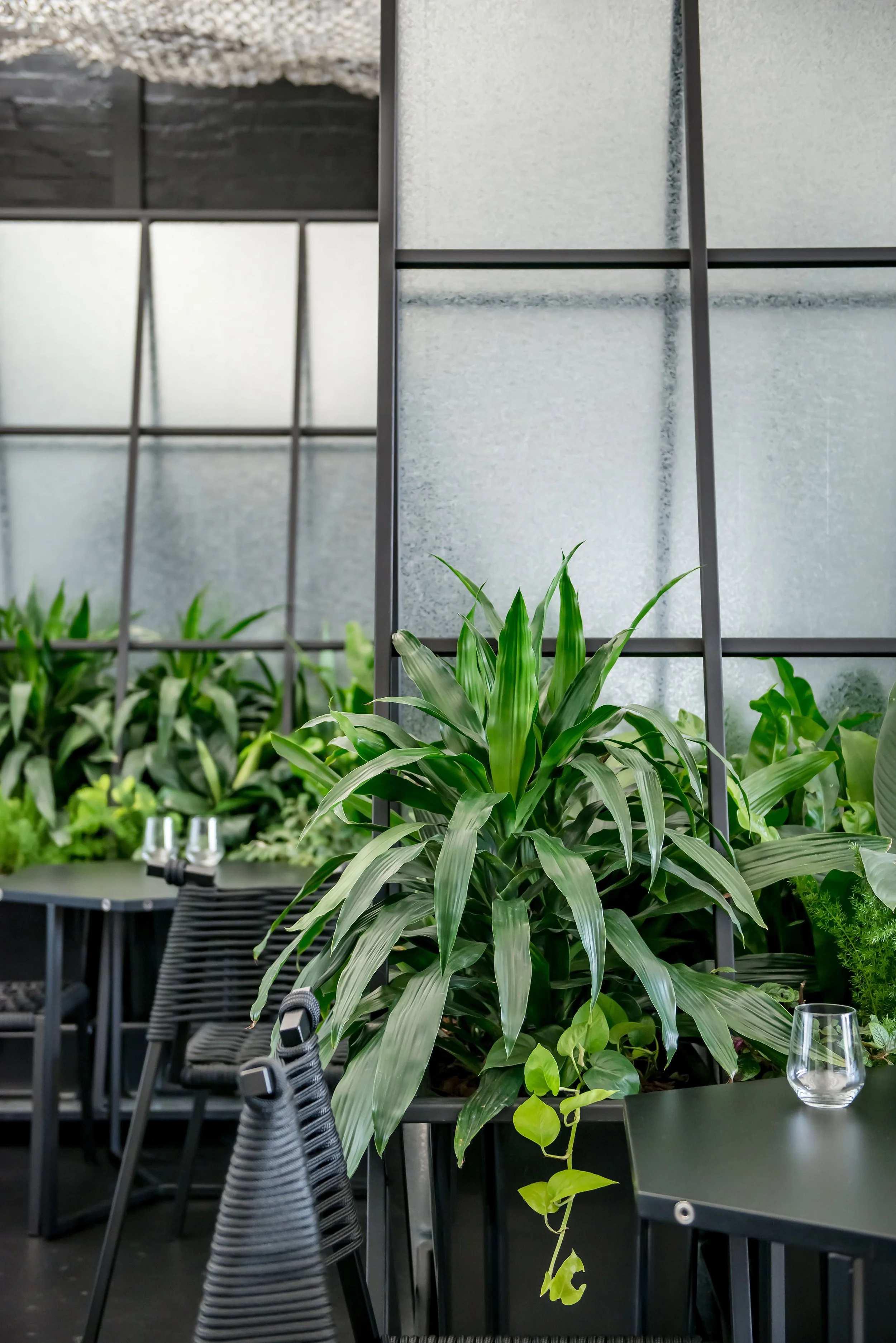 Space & Time Russell & George Cafe 03.jpg