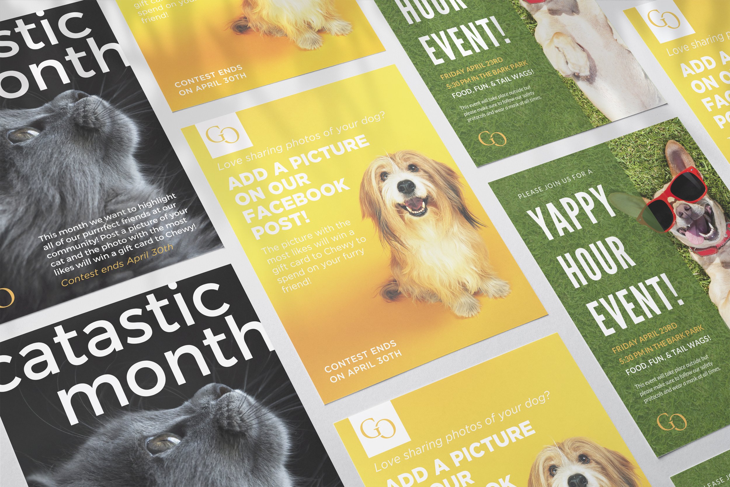 Pet Appreciation Month.jpg