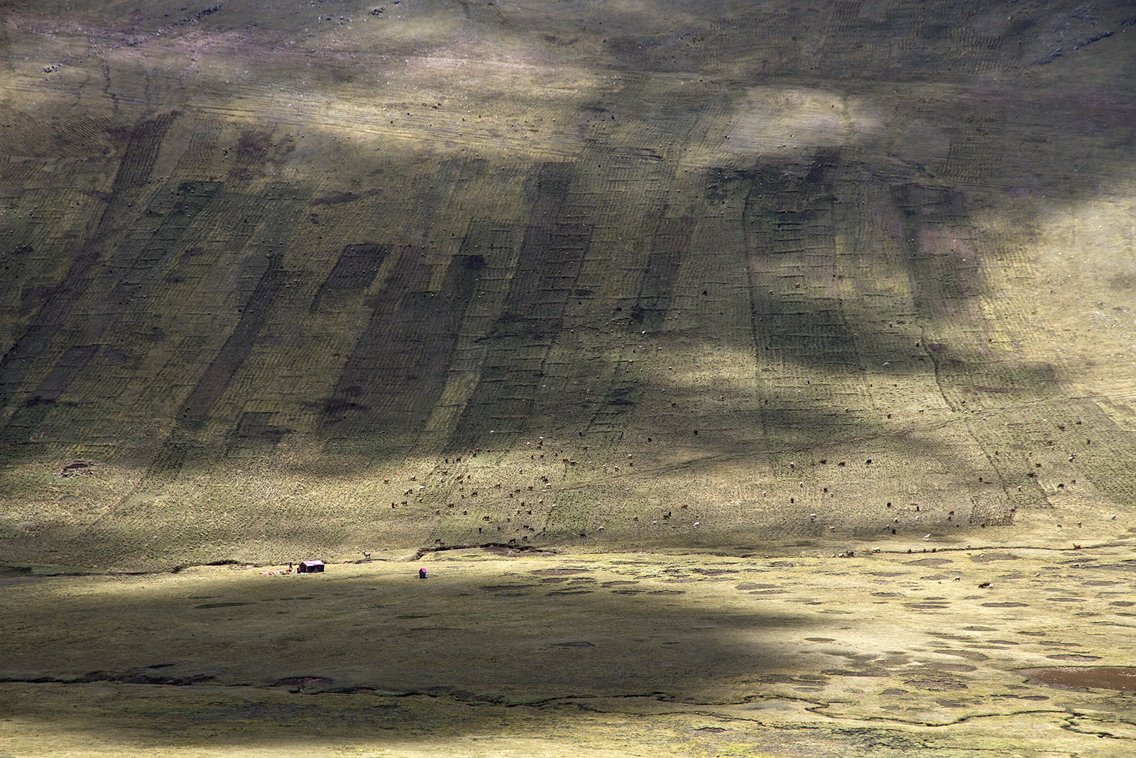 Cuzco Altiplano Shack.jpg