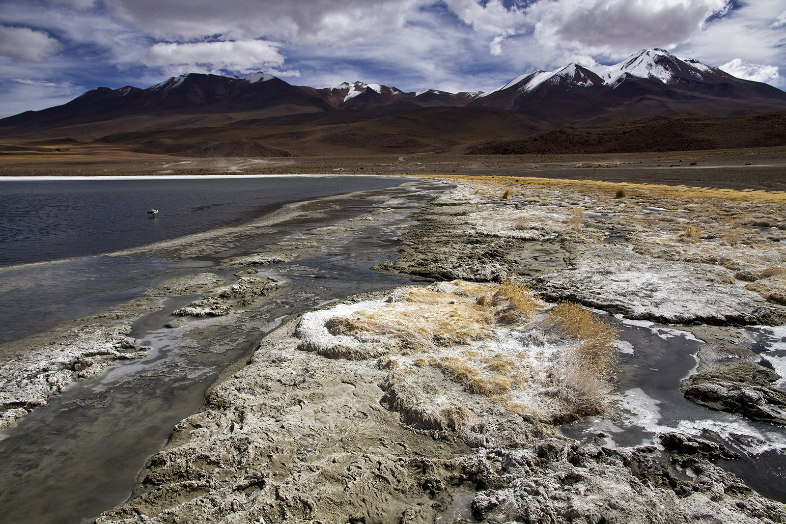 Laguna Colorada Salt.jpg
