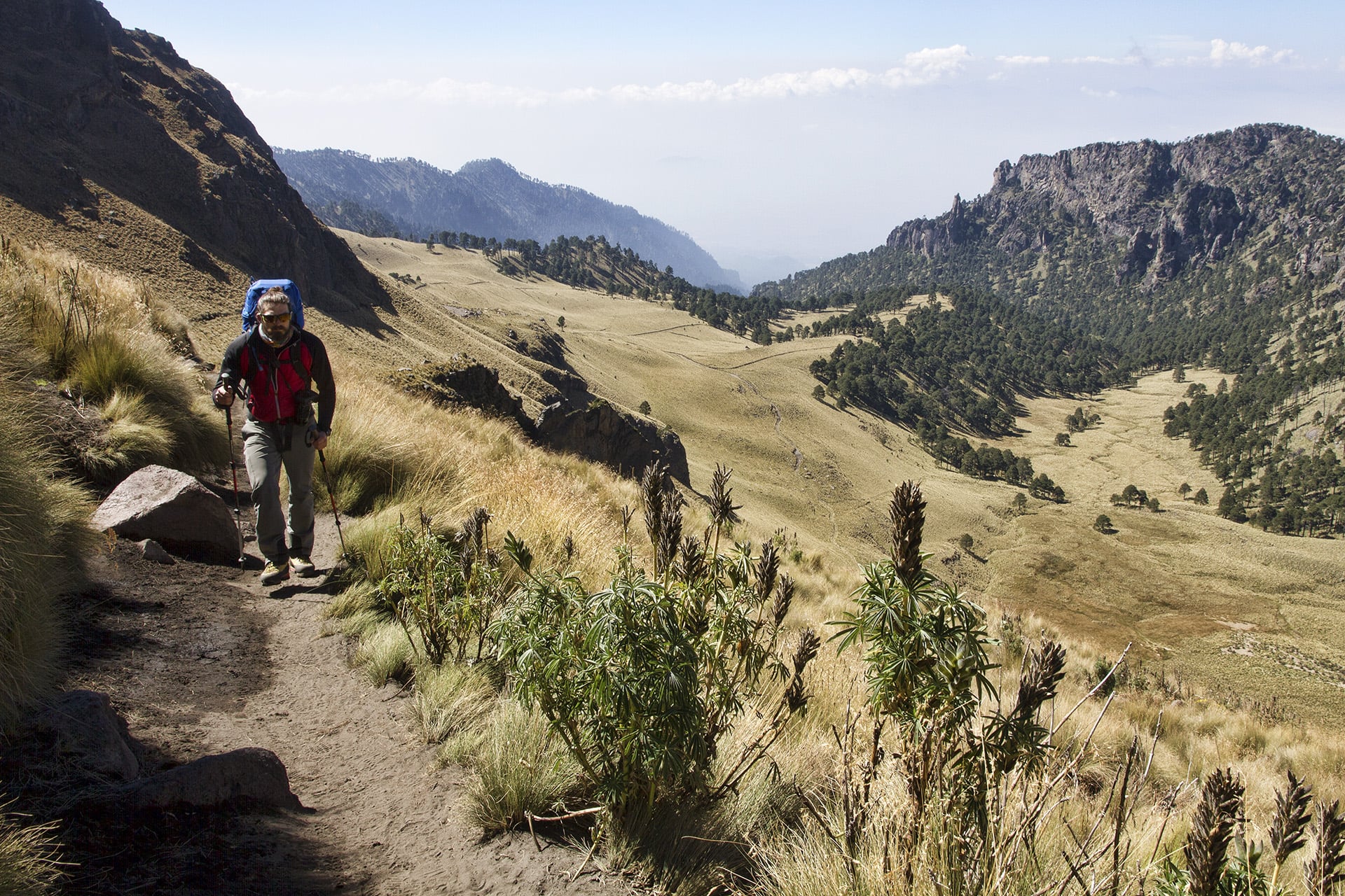 We leave the treeline bound for the taupe slopes. 