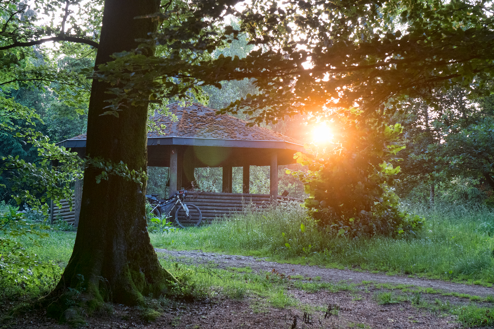 Not far from Houffalize, I find a large, well-kept shelter in the middle of the woods. Three horses chew peacefully in a clearing nearby, under the rays of a setting sun. A Dutch man is building a fire in the middle of the shelter. He tells me he is on holiday, hiking a trail from Luxembourg to Holland. We trade stories from our various life experiences and it becomes apparent we have nothing in common except for a shared compulsion to break the rhythm of our routines. To speak candidly to another human being with whom you hold no ties is refreshing. After the coals have died down, we go separate ways into the forest, looking for a place to sleep.