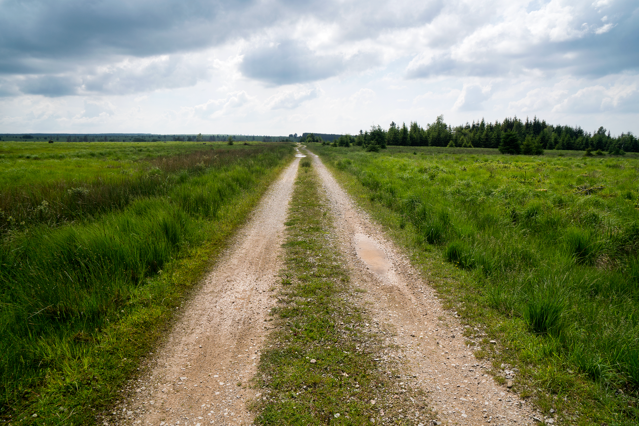  Belgium is not generally known for harsh climates, but the Hautes Fagnes may be the exception. Located near the German border, the marshy plateau includes the highest point in the country, the  Signal de Botrange , at “nearly” 700 meters above sea l