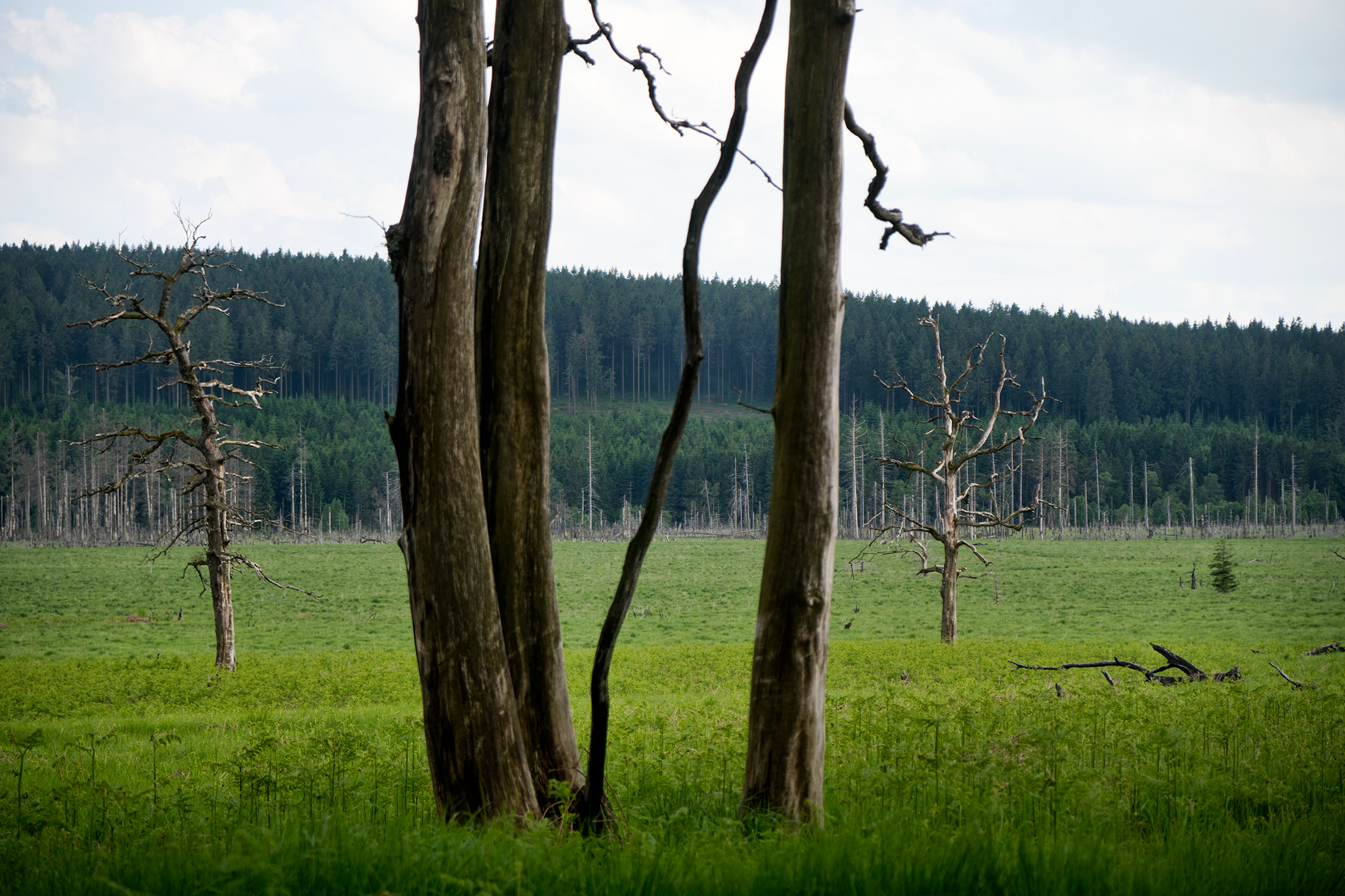 DSC09896.png