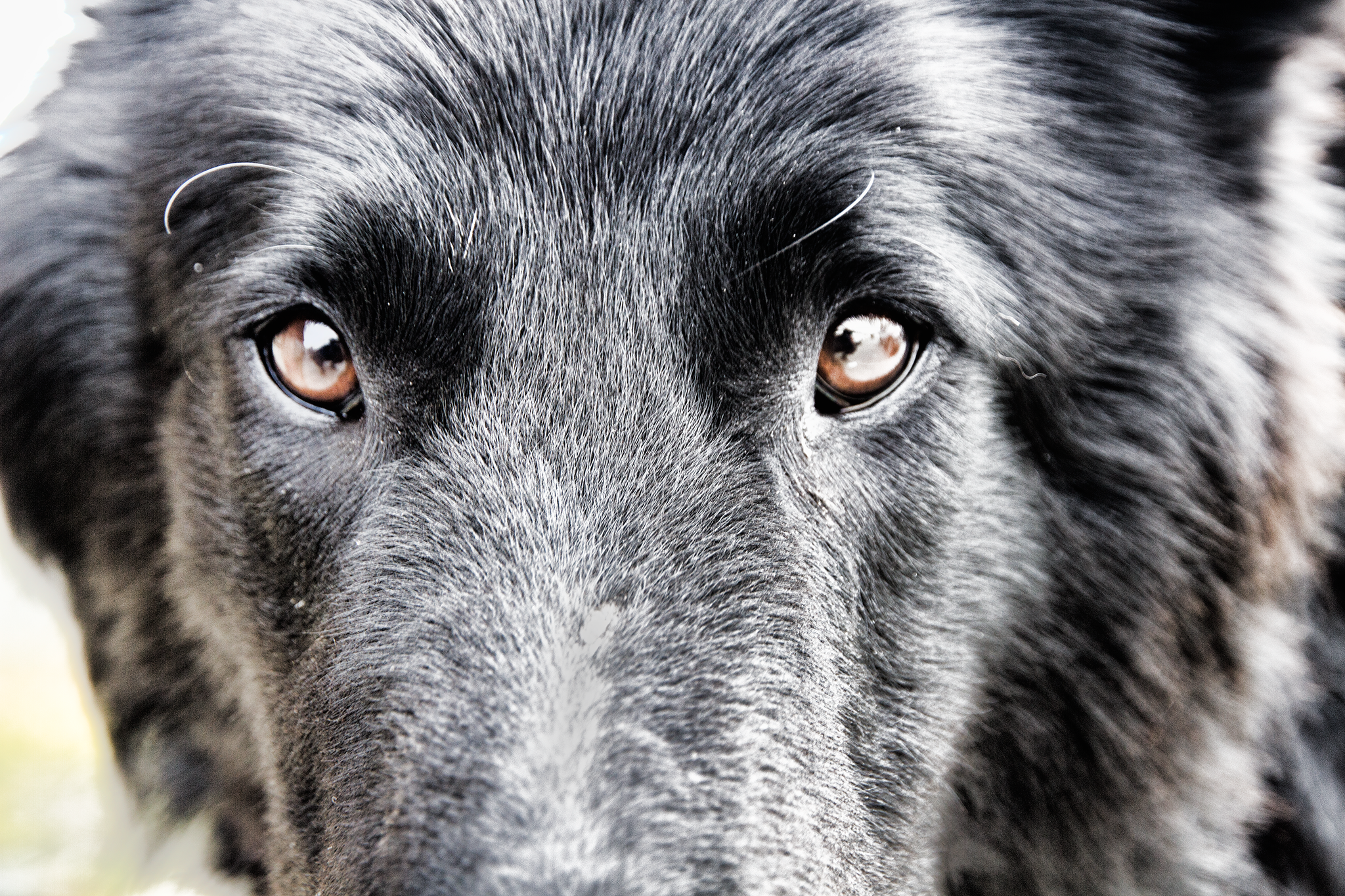 I stood at the entrance of the inconspicuous shack, locking eyes with the two Belgian shepherds eyeing me suspiciously. The officer waved me forward. I unconfidently handed him my awkward bundle of temporary vehicle registration papers, Belgian passport, Chilean ID card, and USA driver’s license. My heart sank as it became obvious from his furrowed brow this was the first time he’d been presented with such a panoply of international paperwork. “ Espéreme ,” he said as he picked up a phone. I waited quietly. After describing what sat in front of him to whoever was on the other end, the officer listened to a muffled voice. A long, drawn-out silence ensued. “S í, mi comandante.” He hung up the phone. The wind howled like a banshee outside. The windows vibrated in their frames. Filtered light danced on the officer’s desk as he flipped the papers mischievously through his fingers. Every once in a while he’d glance upward, his eyes meeting mine. At times, his hand reached agonizingly close to the stamp, only to retract it as he appeared to contemplate a new piece of information. My fate was in his control. He knew it. He loved it. Then, as if buckling under the weight of his own fantastical power, he clumsily stamped my passport and shooed me toward the exit. “Pásele.” Argentina, scoured in wind, lay ahead.