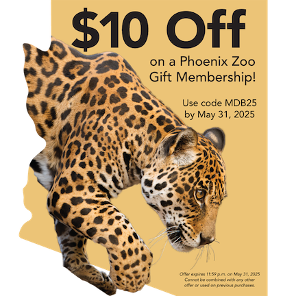 Lightbox_Spring 2025_Final.png