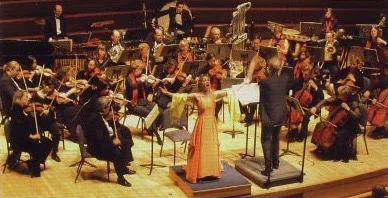 Orchestra2001.jpg
