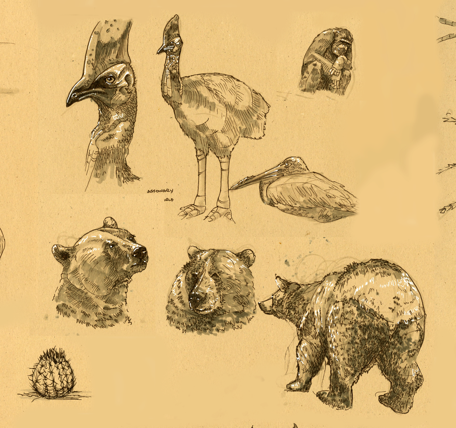 sketch1.png