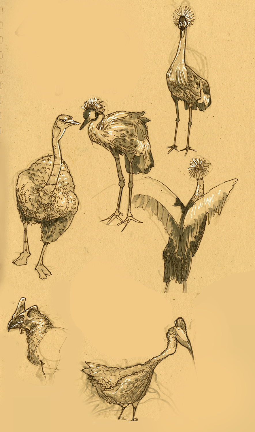 sketch5.png