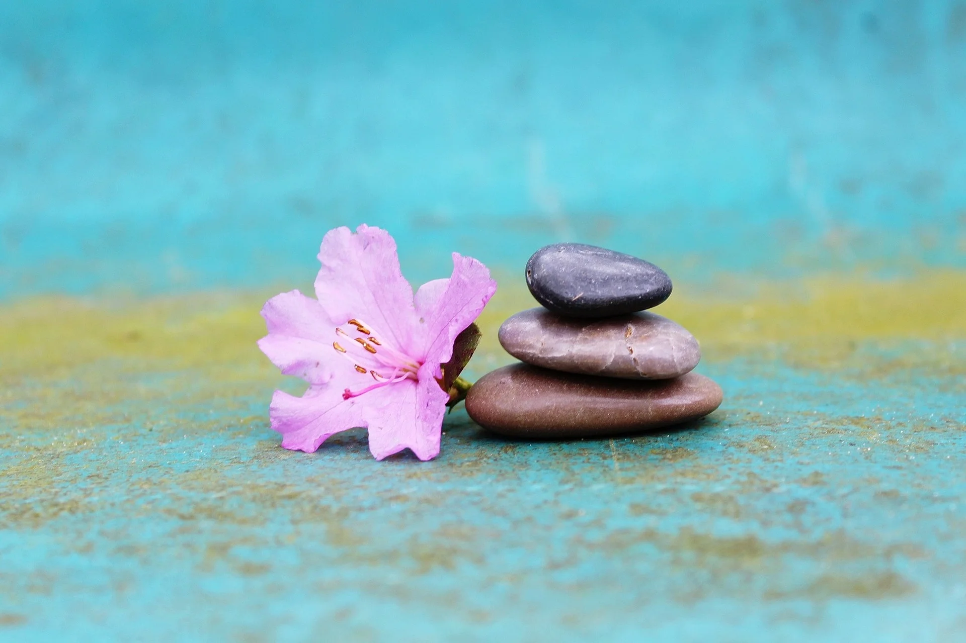Image by TanteTati from Pixabay.jpg