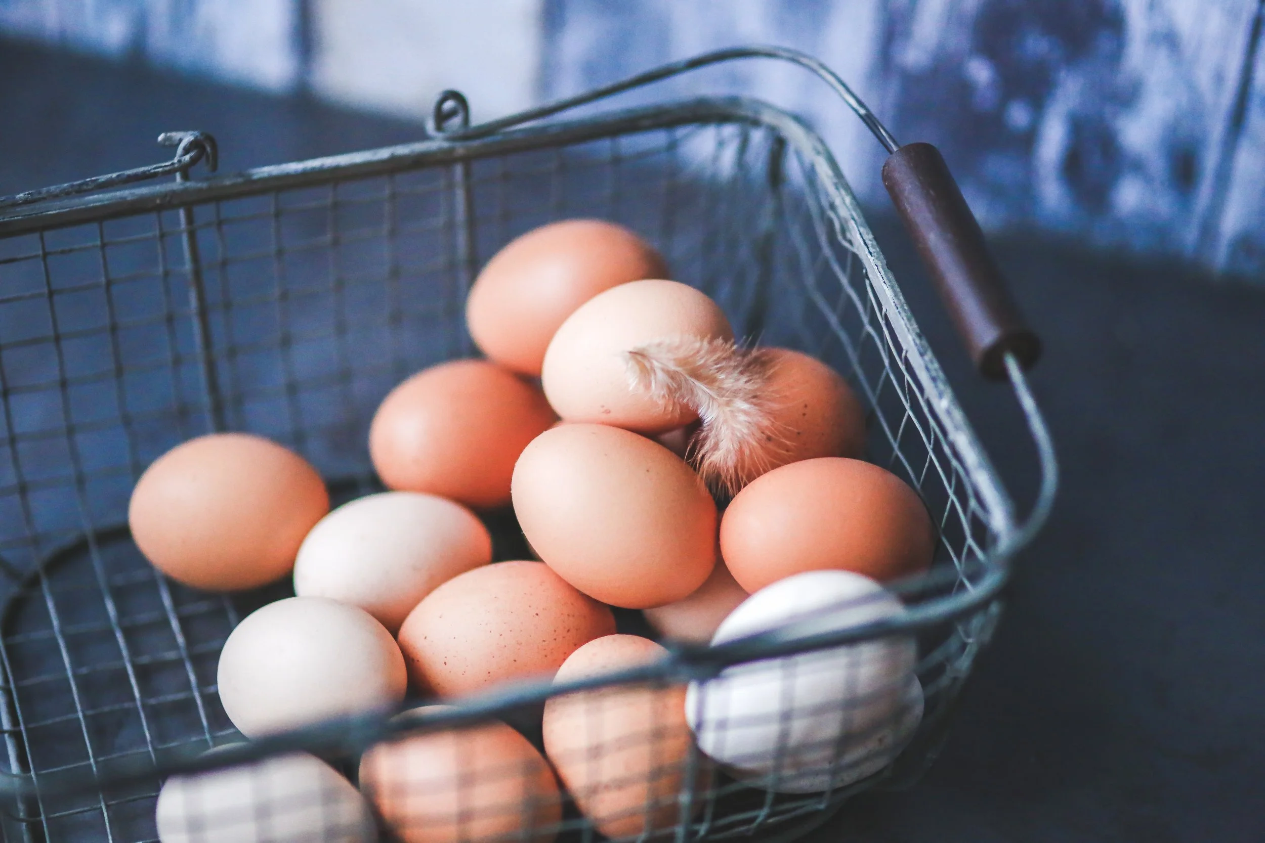 The Truth About Eggs
