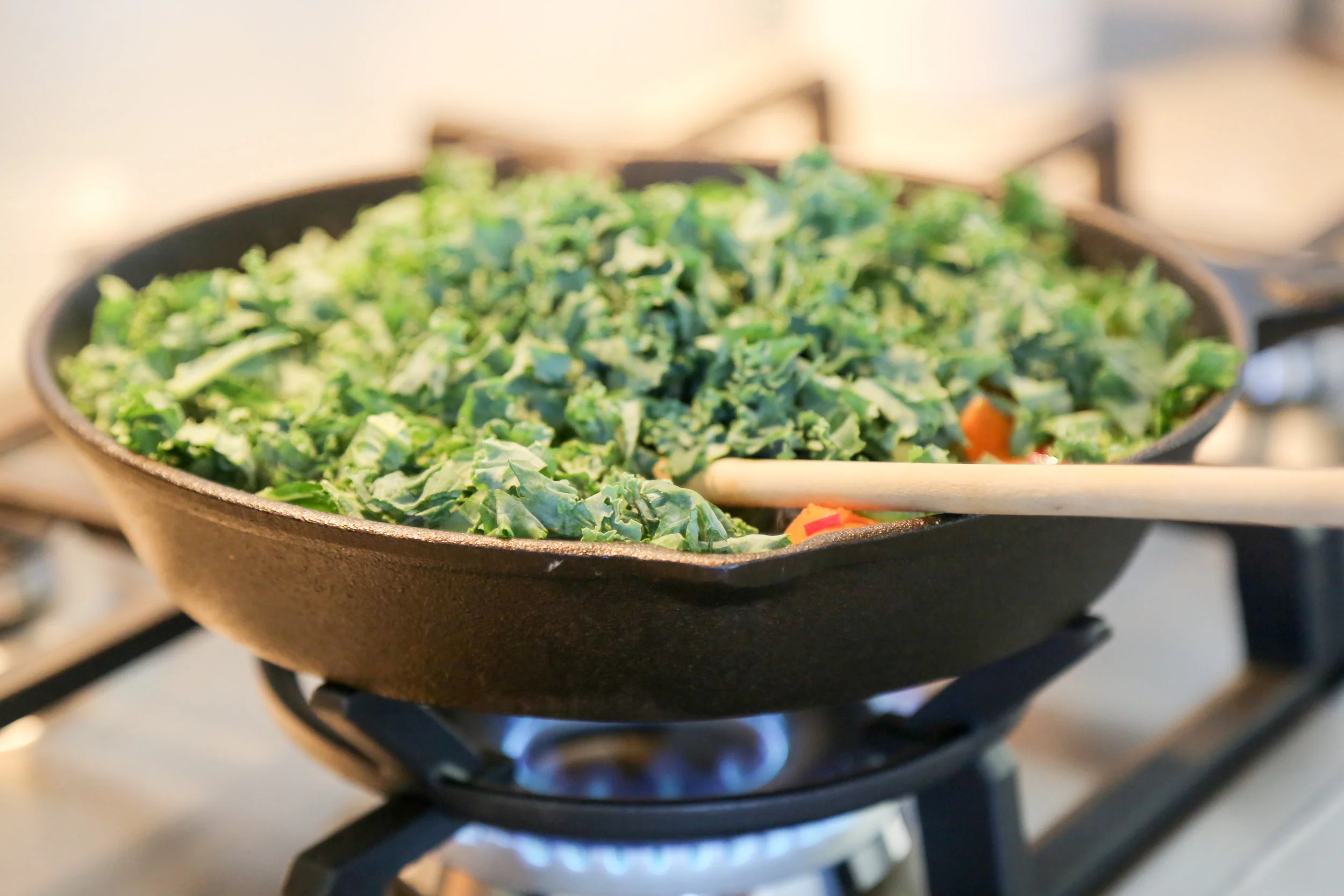 Skillet life.jpg