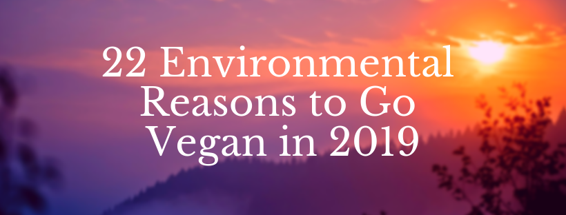 Environmental Reasons to Go Vegan in 2019.png