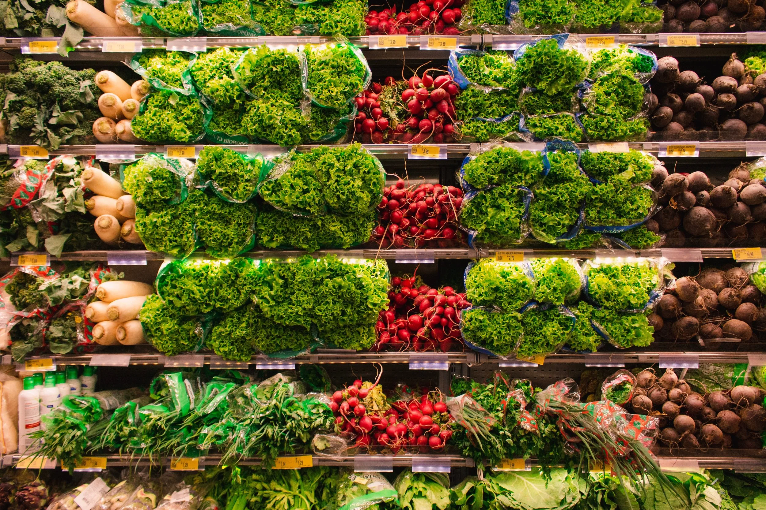 vegan vegetables.jpg