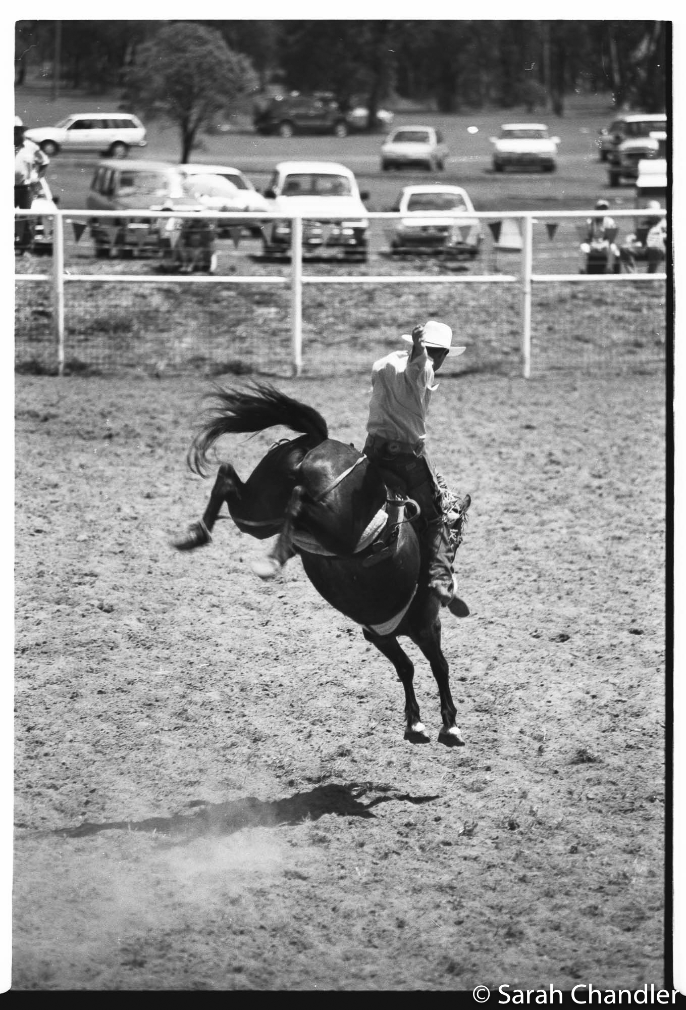 Rodeo-1.jpg